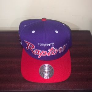 Raptors SnapBack